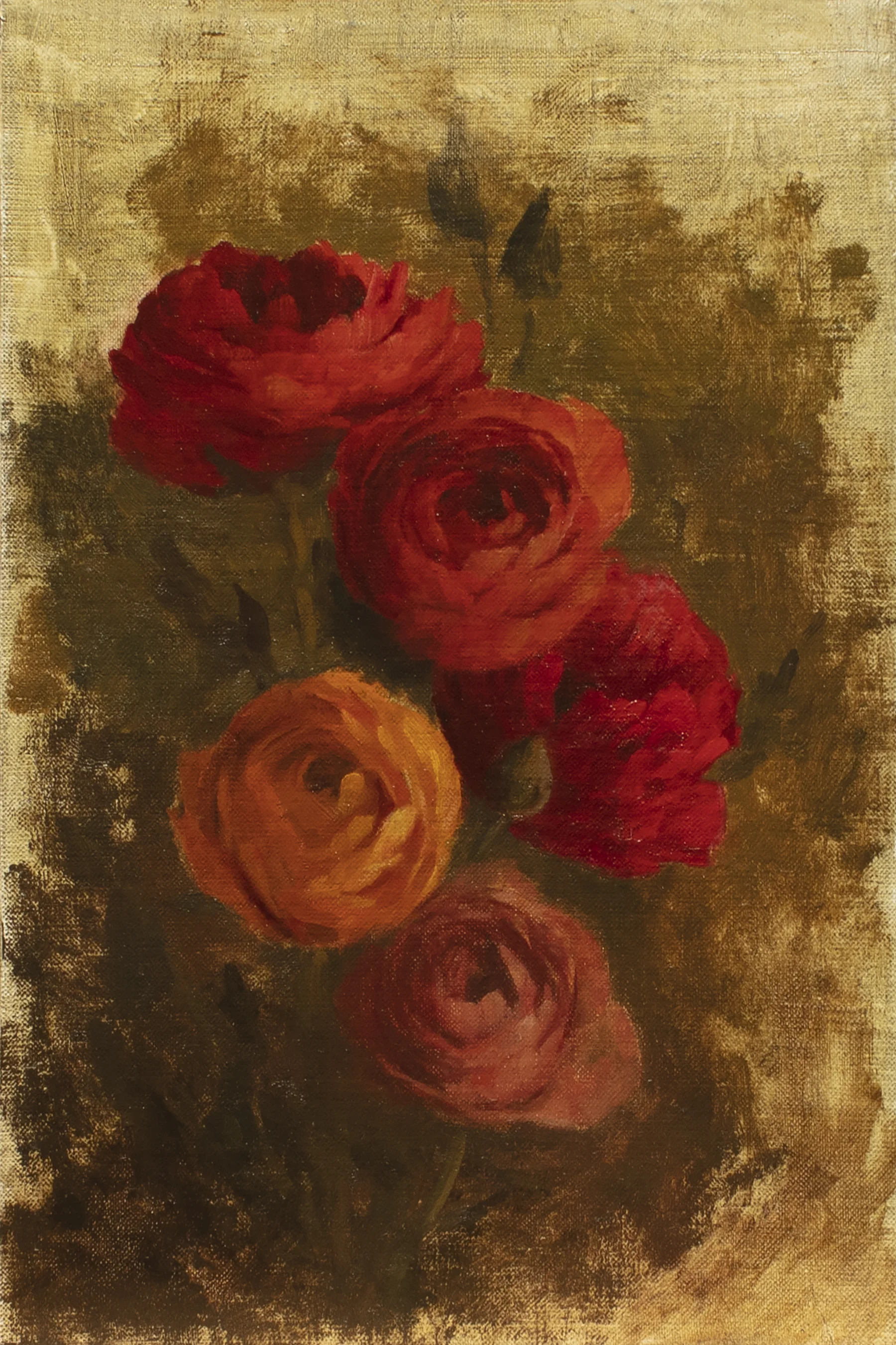 Ranunculus Blooms, study