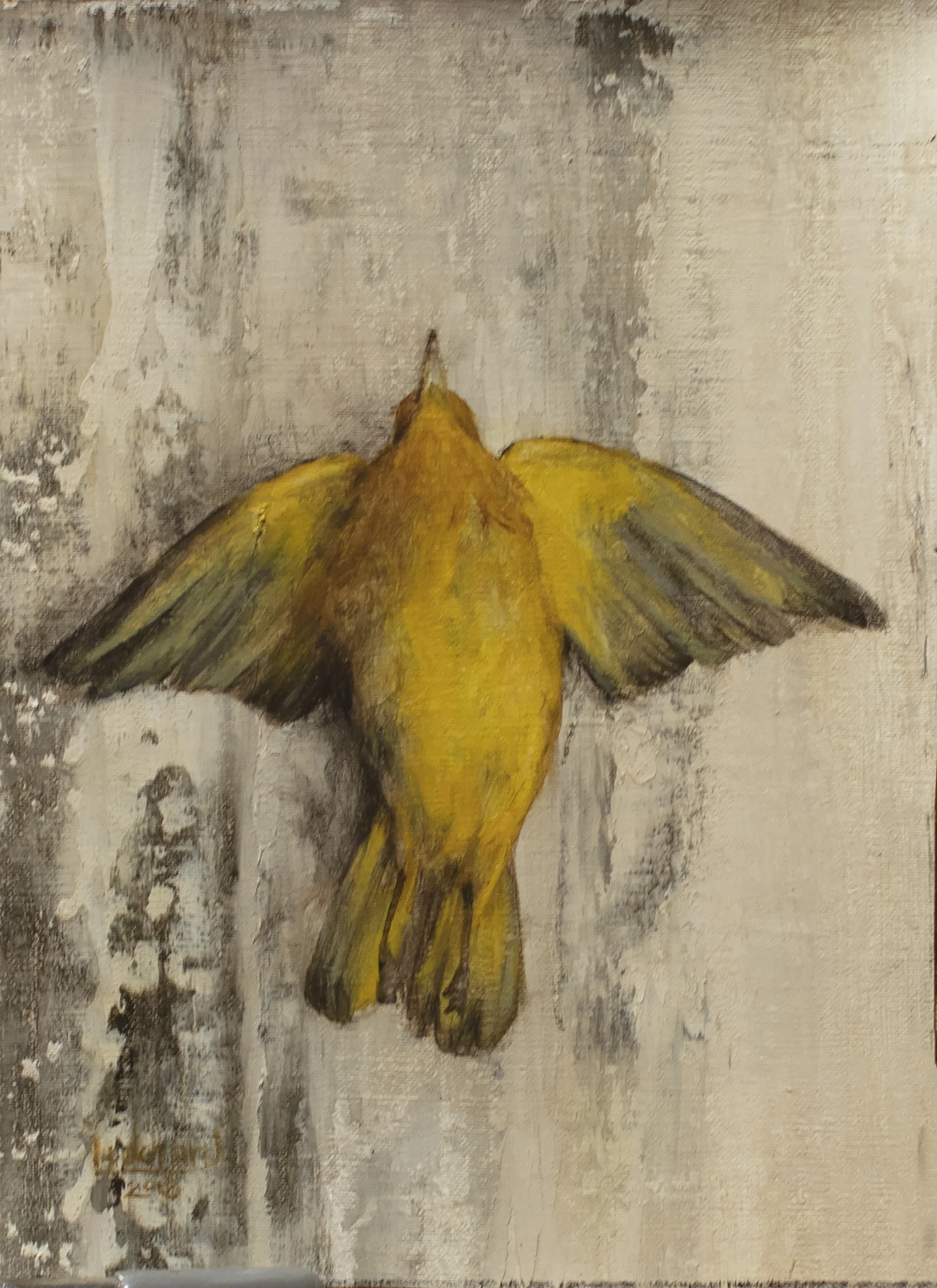 yellow warbler, 8x5.75, oil on canvas, Liddiard, 2018.jpg