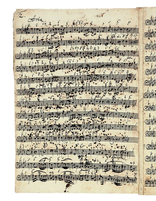 Welcome Weston Jennings!