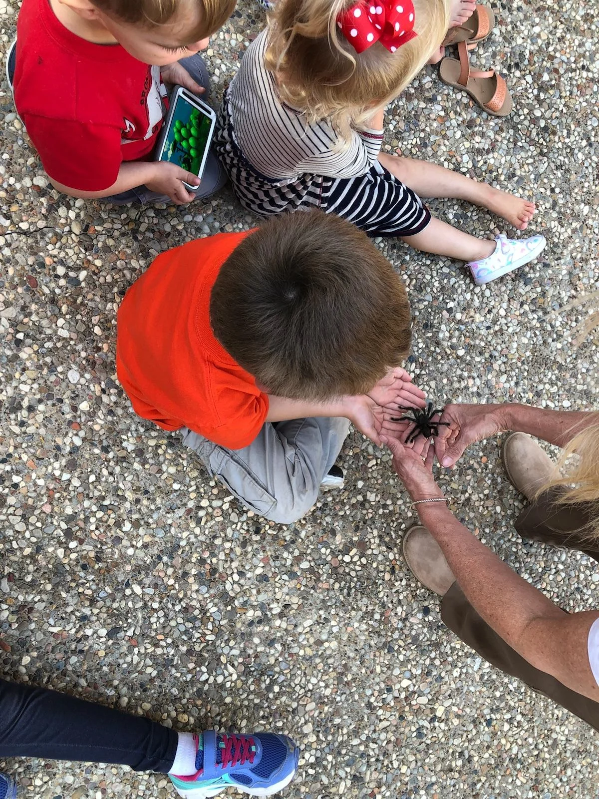 The Creature Teacher visits FPC!