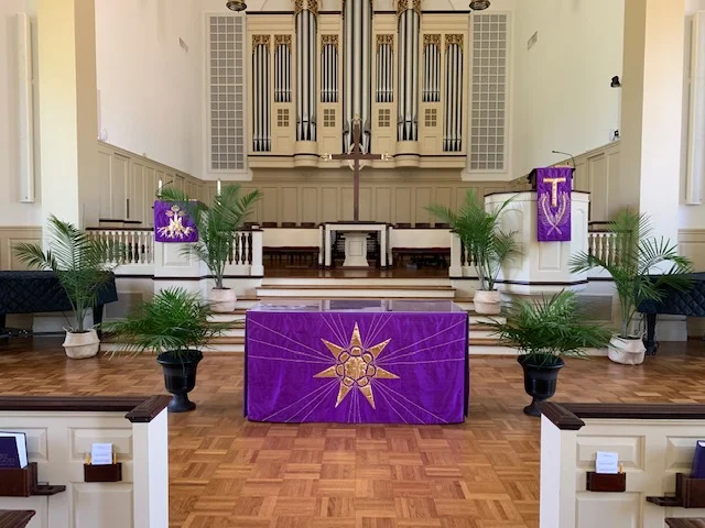 Palm Sunday in Pictures