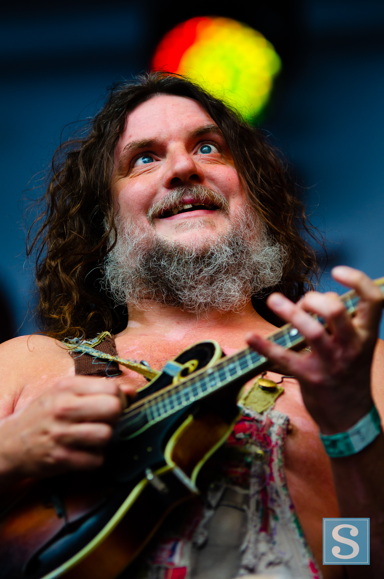 Hayseed Dixie