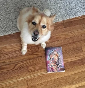 And don't forget about issue 37.2!