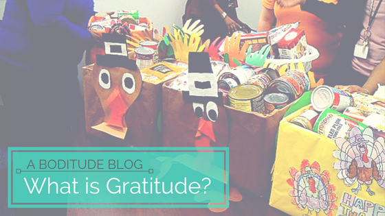 Blogitude: What is Gratitude? 