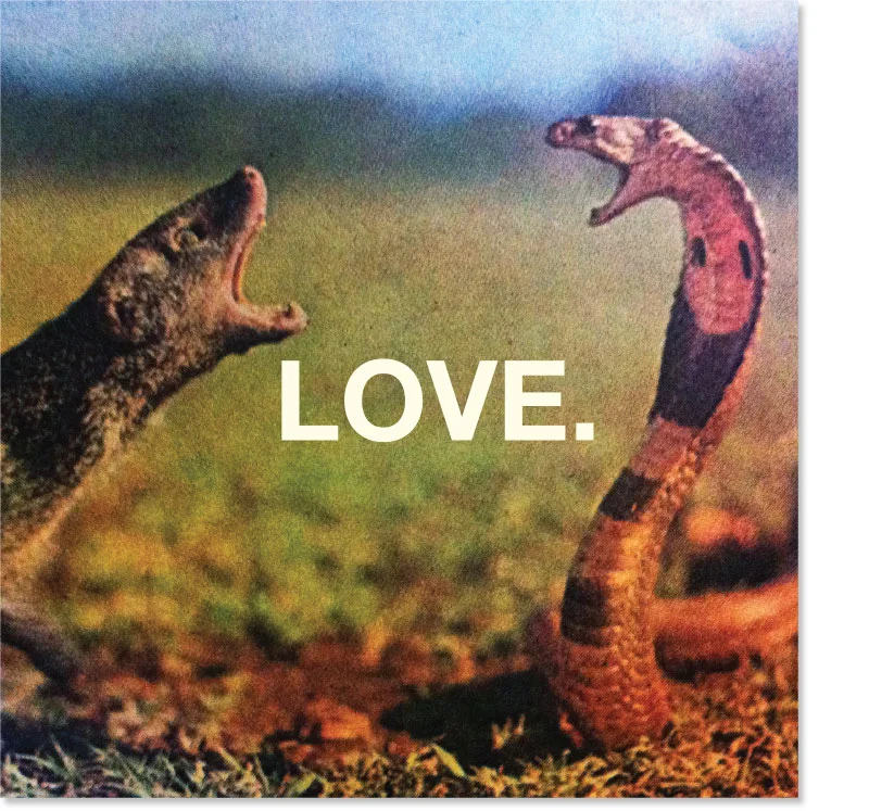 LOVE , a collection of anti-love songs by The Yellow Hope Project