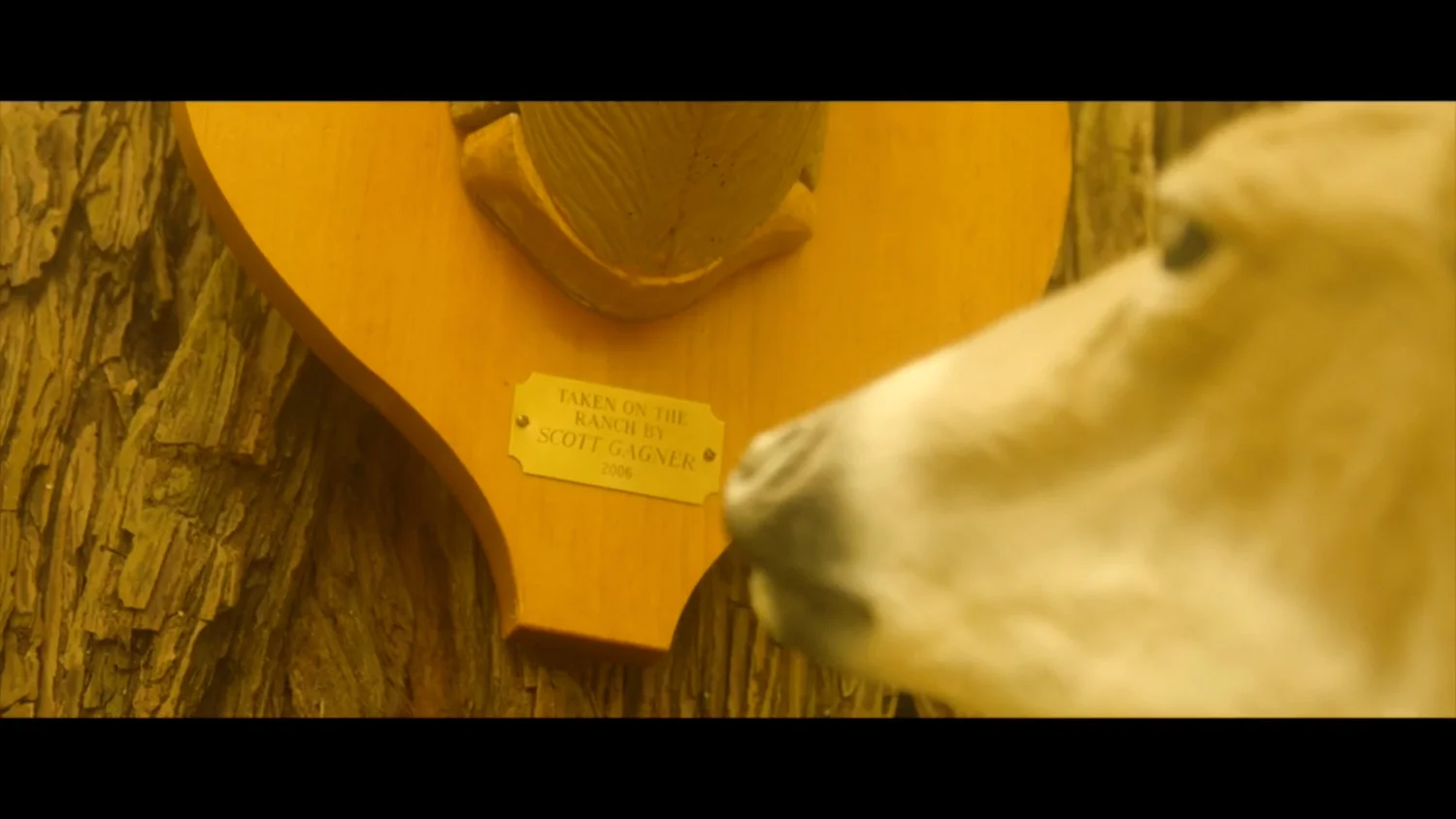 plaque.jpg