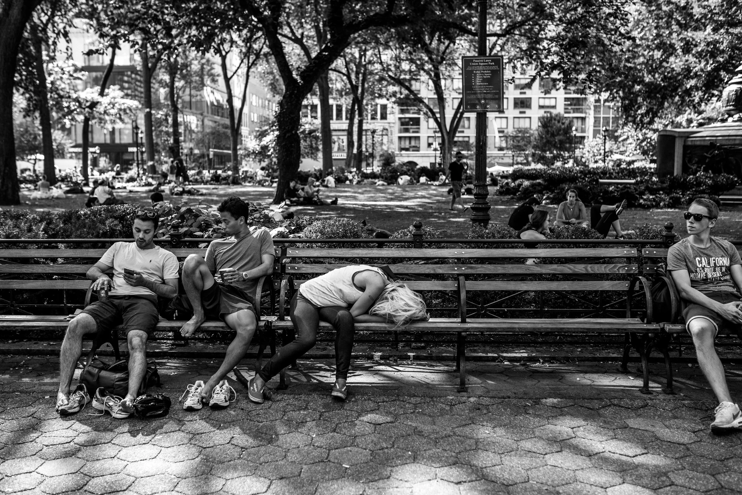 Girl On Bench