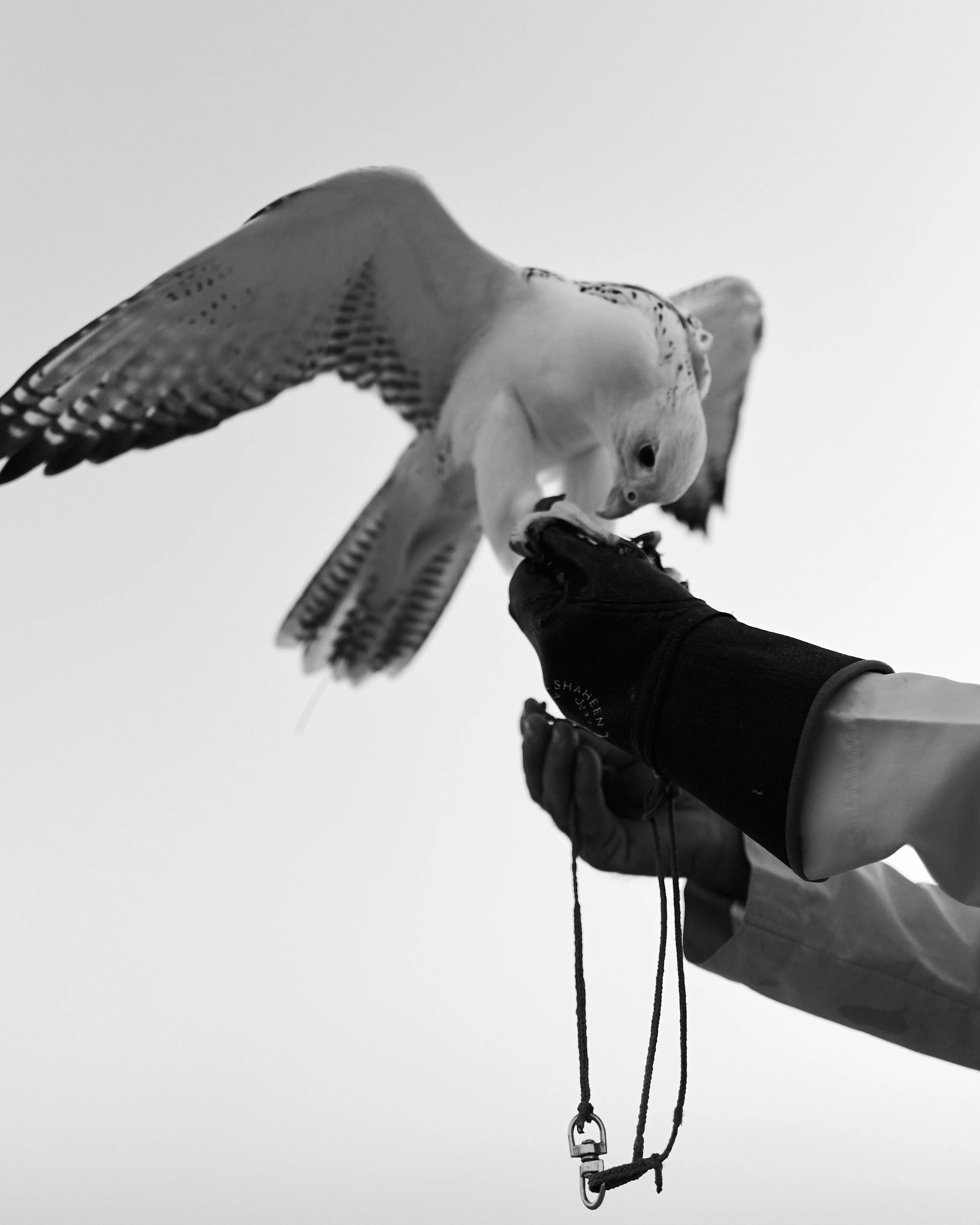 S1060177.jpg