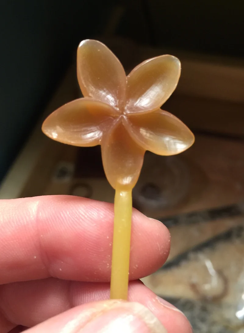 Large Flower on Sprue