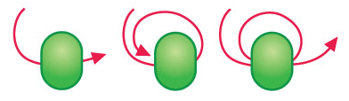 Fig 1: Creating a stop bead