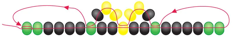 Fig 4: Adding BL – 2 LY, then 2 LY – BL