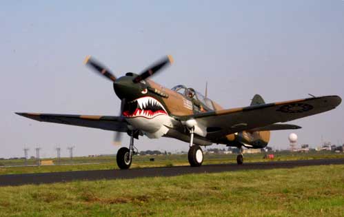 P-40_Warhawk_0004.jpg