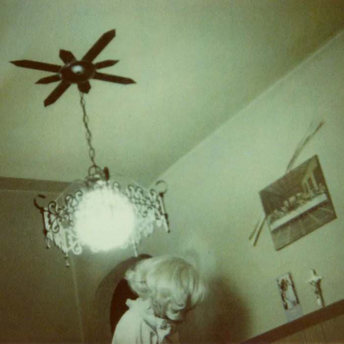 2/34 Untitled #2, Domesticated Woman, 2011