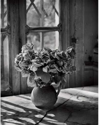 Flowers Madame Simon Residence, France May 13, 2003. Platinum and palladium print.