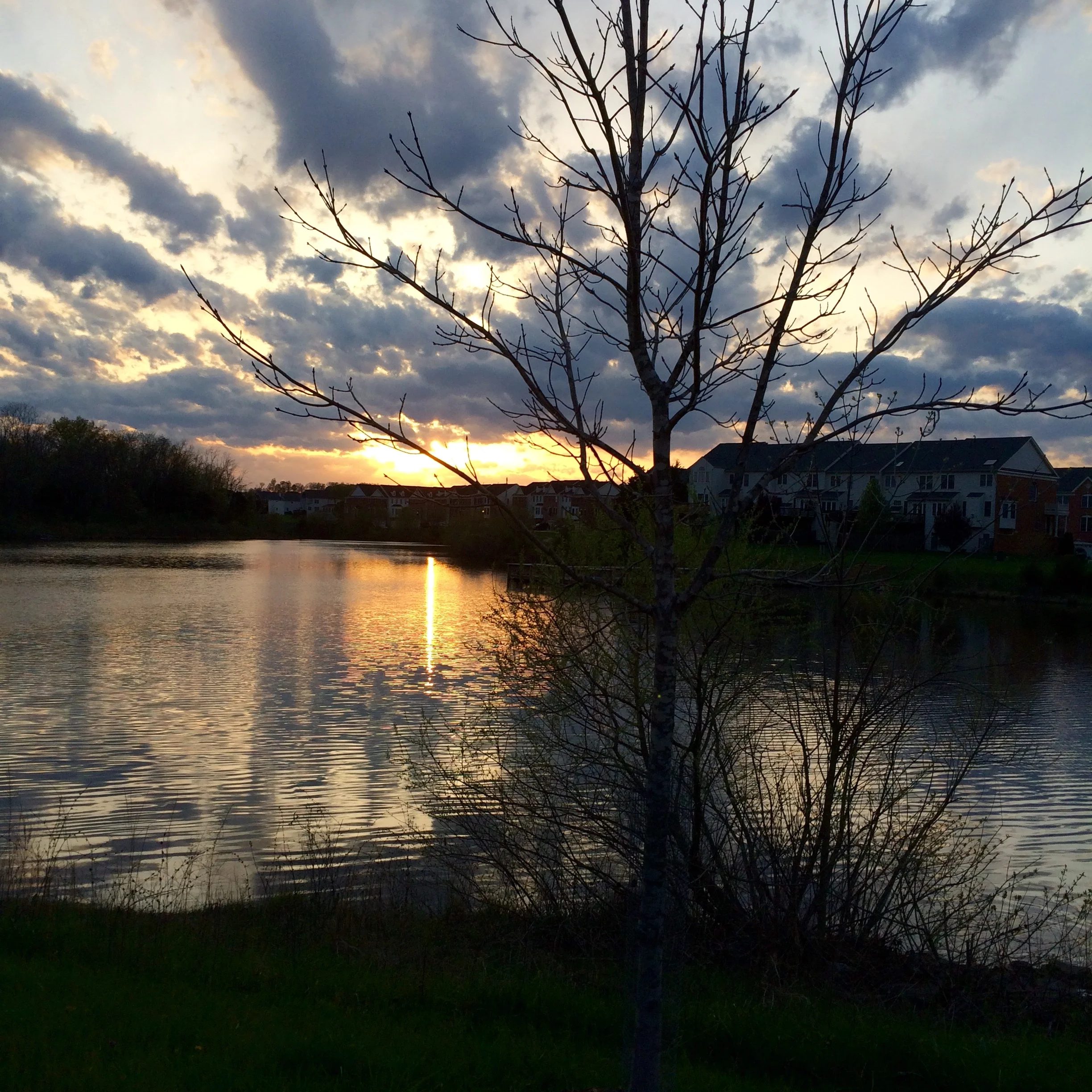 Photo credit: Karoline, who loves to run after and capture sunsets with me.