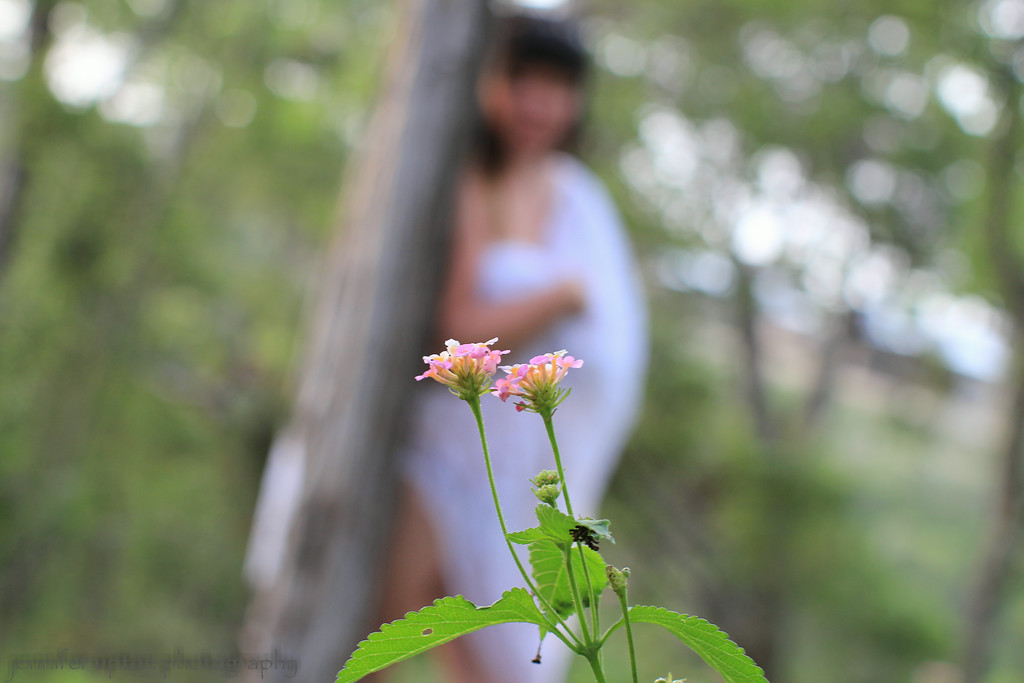 image by jennifer upton