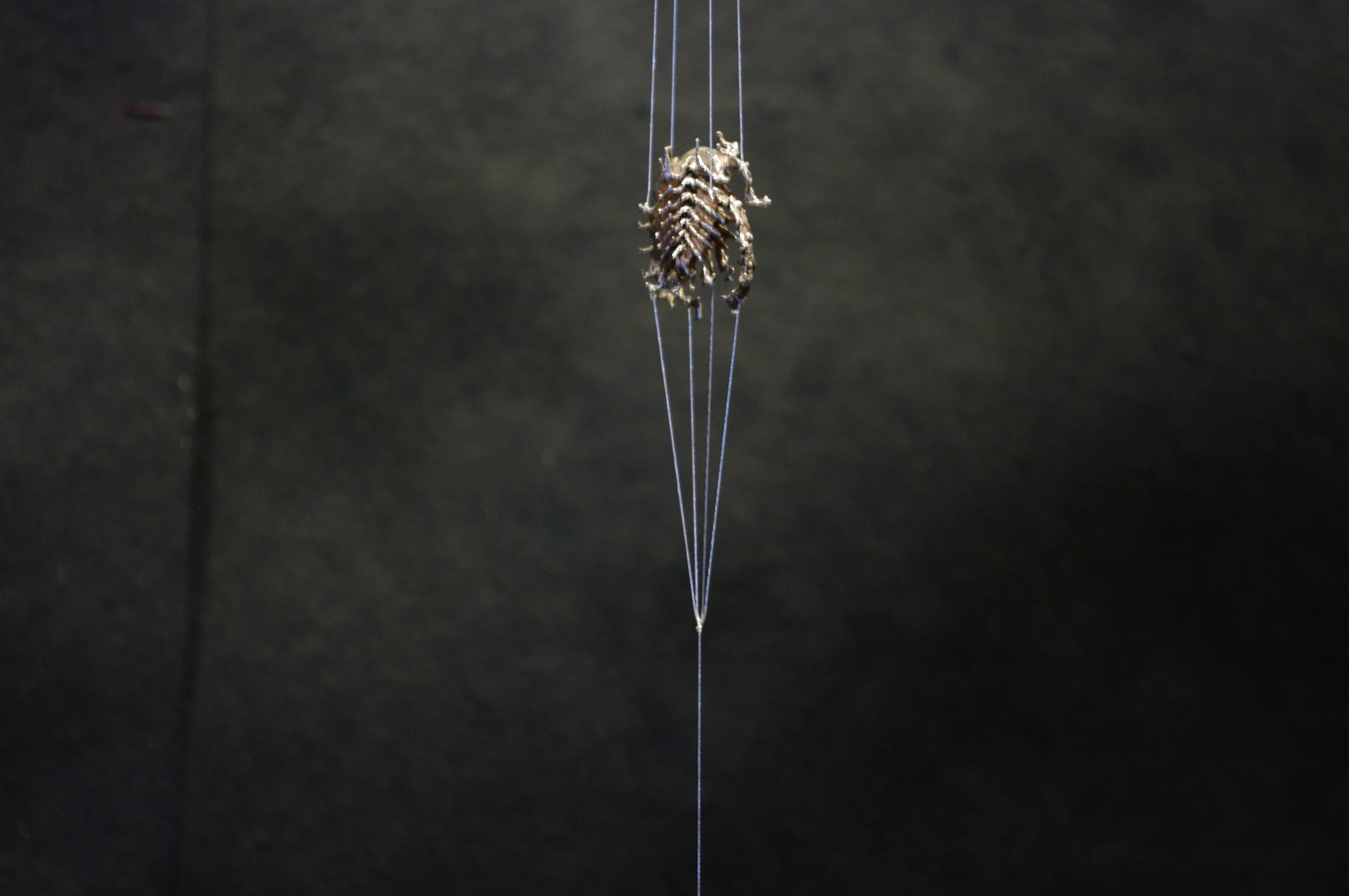  Ian Henderson, strung up sculpture. 