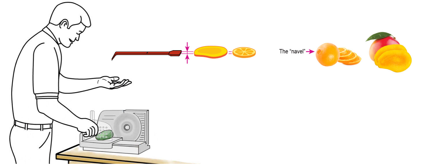 CQ-Mango-Orange-Spa-Water-Recipe-Step-1-Cut-Fruit-Using-CQ-Slicer-Key.jpg