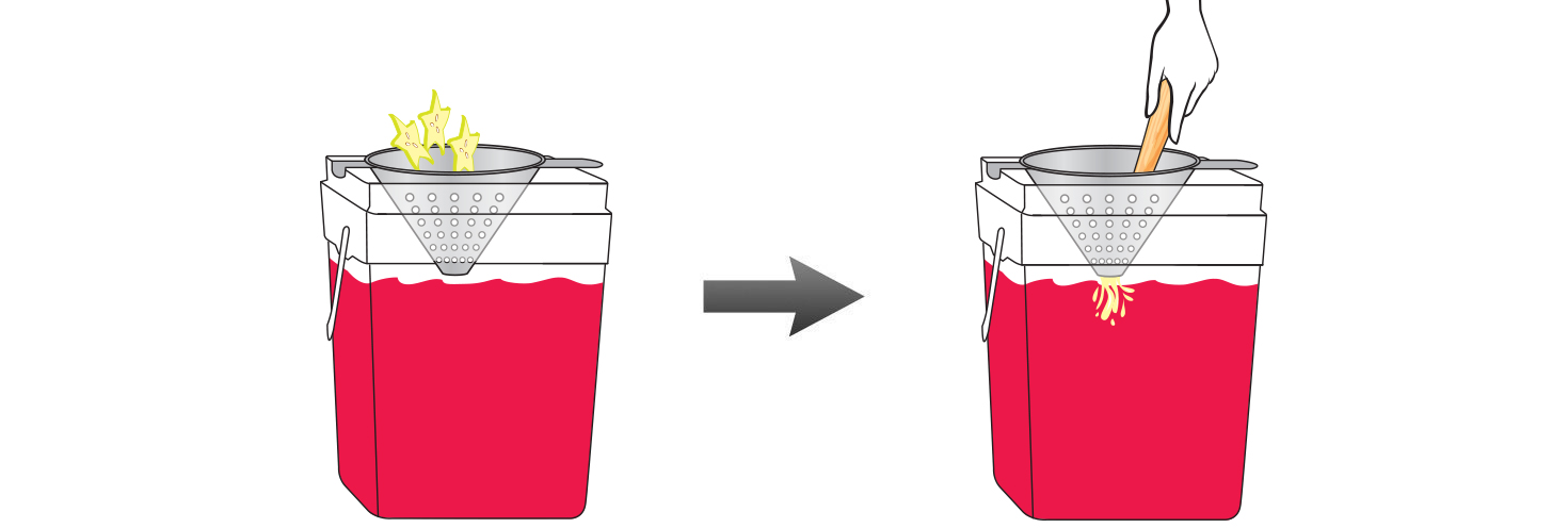 CQ-Red-Raspberry-Pomegranate-Starfruit-Spa-Water-Recipe-Step-4-Infusing-Water-Fresh-Red-Raspberry-Pomegranate-Starfruit.jpg