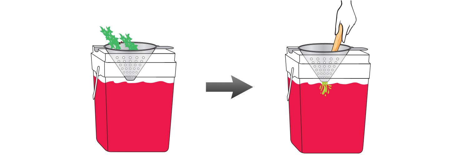 CQ-Strawberry-Basil-Spa-Water-Recipe-Step-4-Infusing-Water-Fresh-Strawberry-Basil.jpg