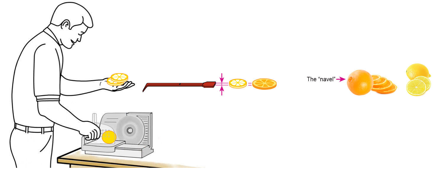 CQ-Lemon-Orange-Iced-Tea-Recipe-Step-1-Cut-Fruit-Using-CQ-Slicer-Key.jpg