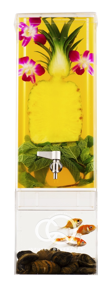 CQ Mango Pineapple Orange Mint Juice Infusion
