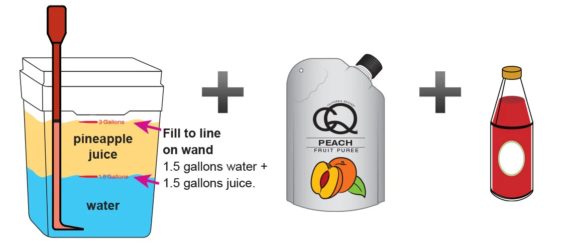 Peach-Cinnamon-Pineapple-Juice-Infusion-4.jpg