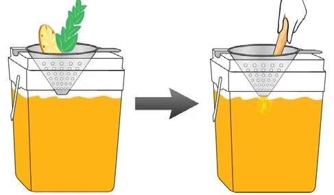 Infusing the Lemonade.jpg