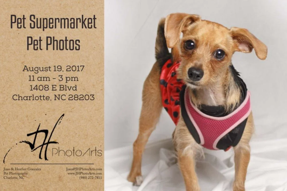 Pet Supermarket (Dilworth) Pet Photos