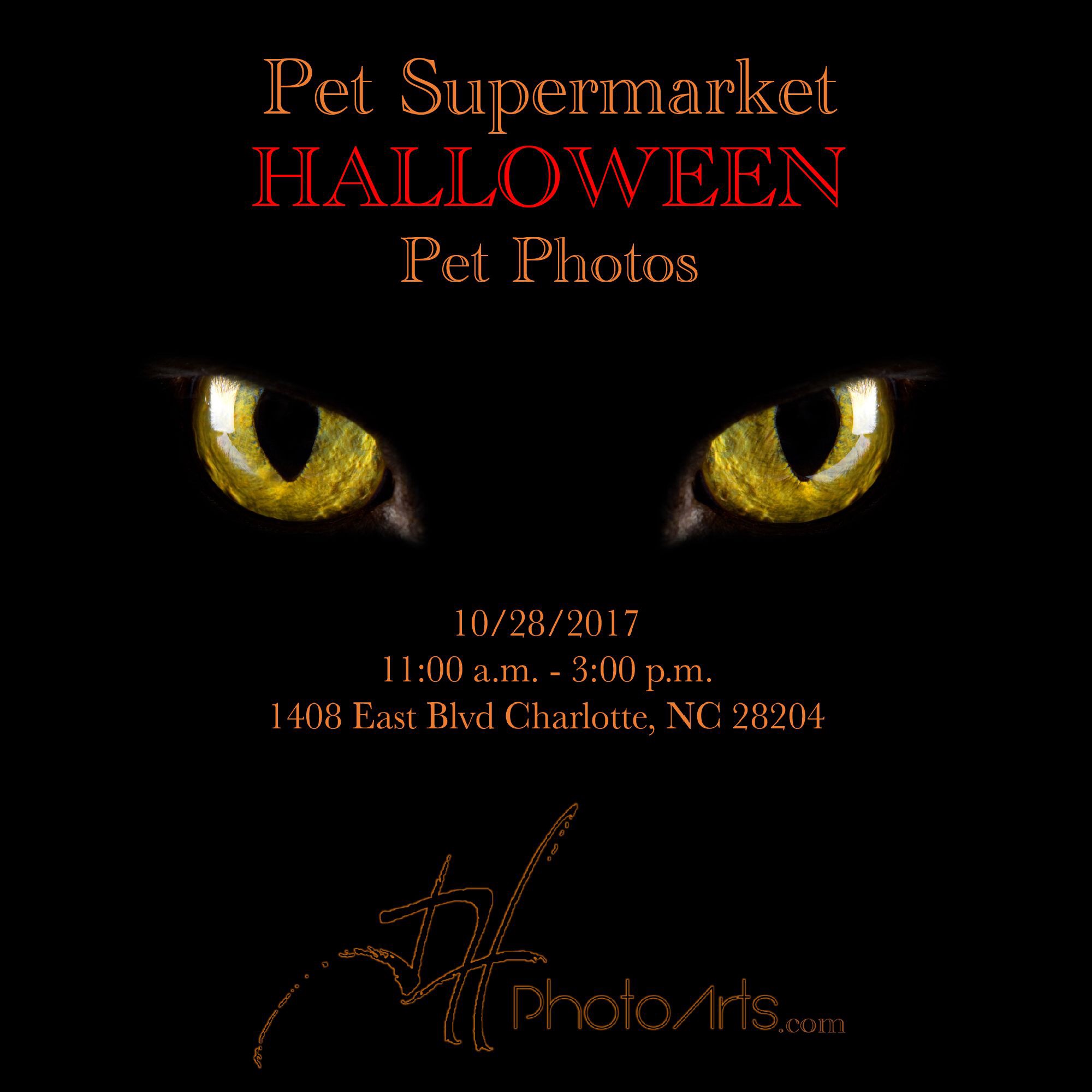 Halloween Pet Photos