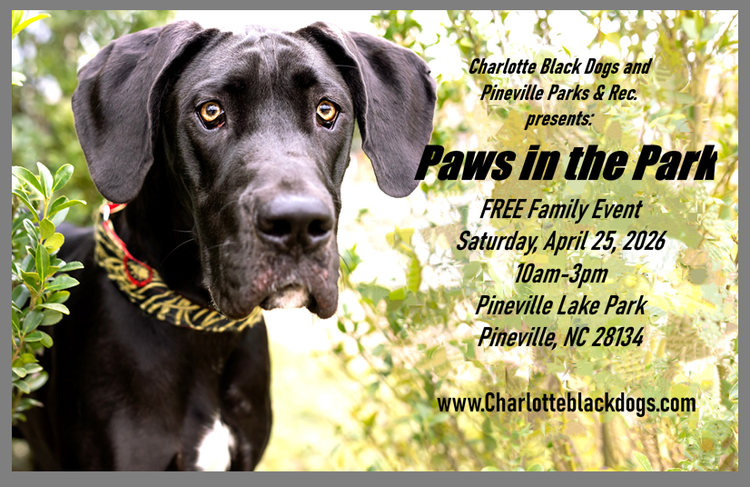 Charlotte Black Dogs presents: Paws in the Park 2026