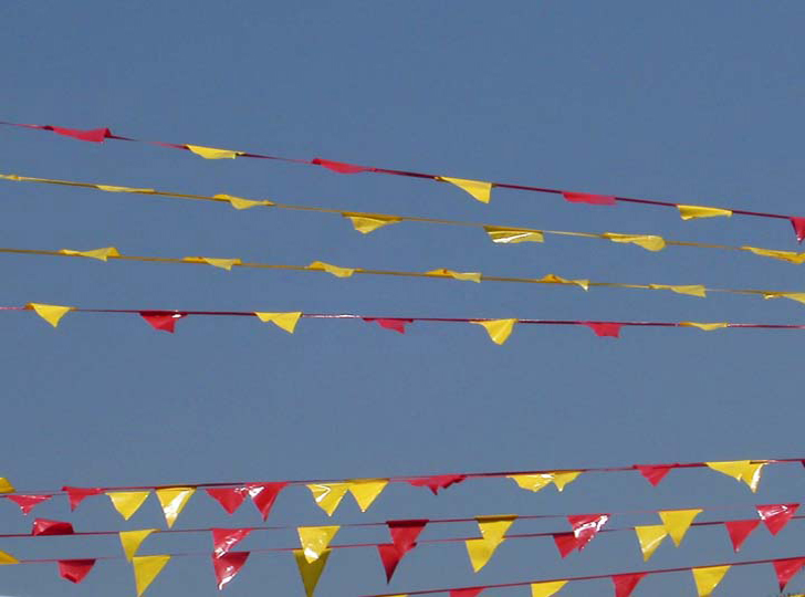 j.flags--DSCN0491.jpg