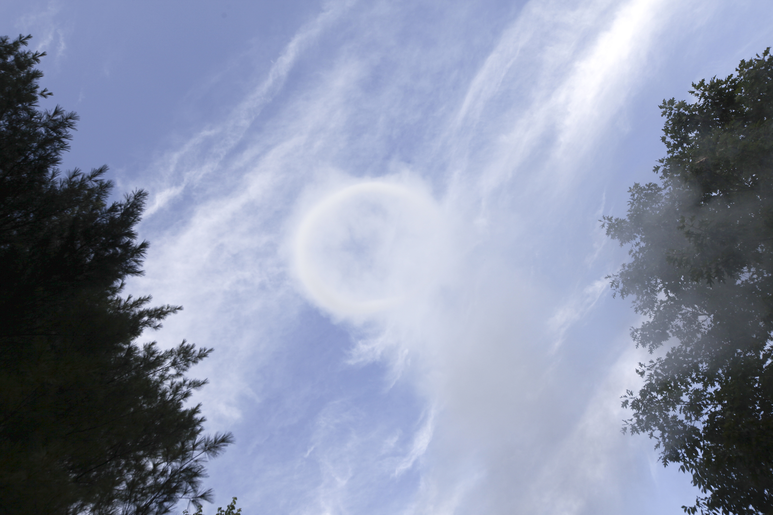 smoke.ring.4.KCadj.72dpi.jpg