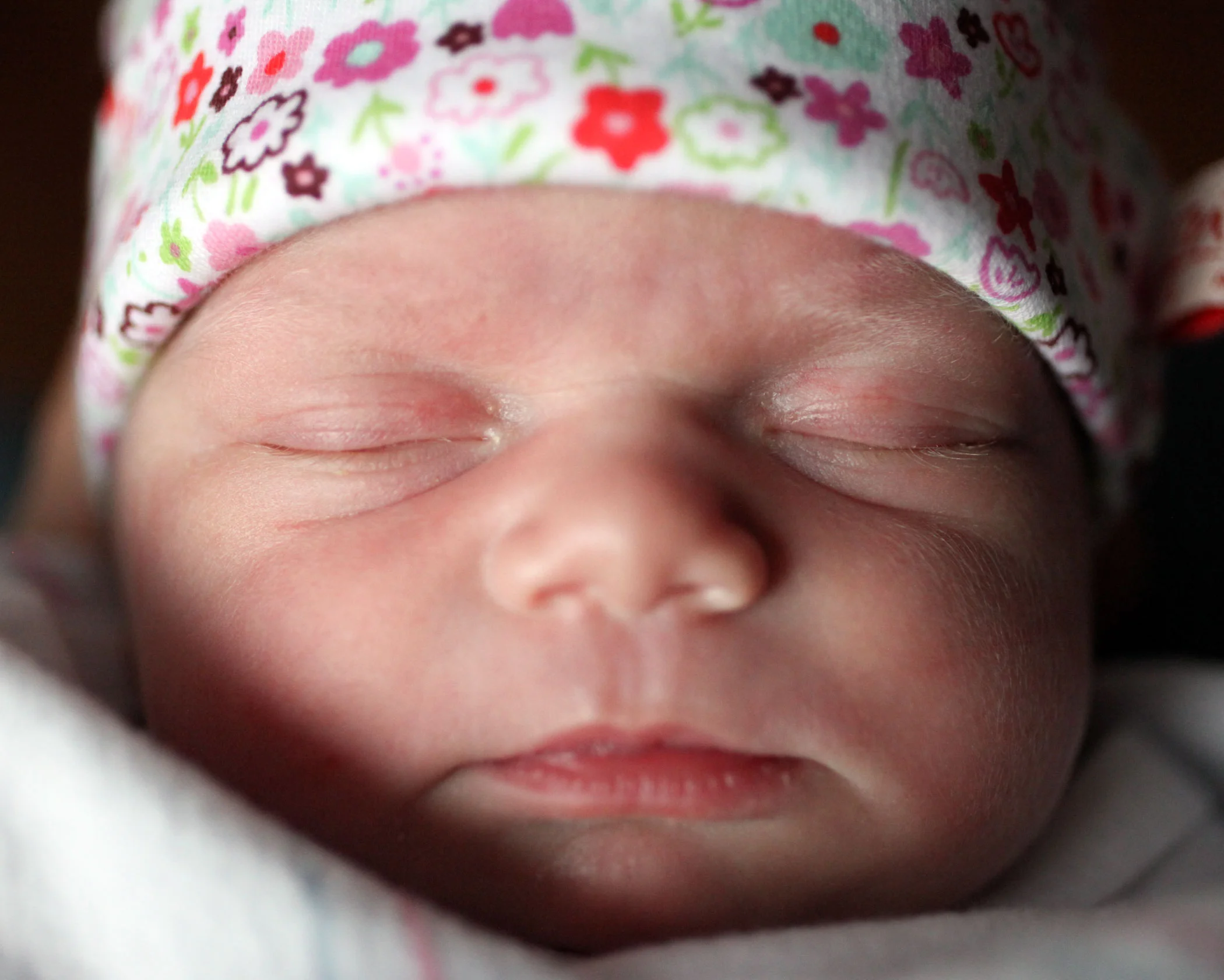 IMG_3512posie-face.web.jpg