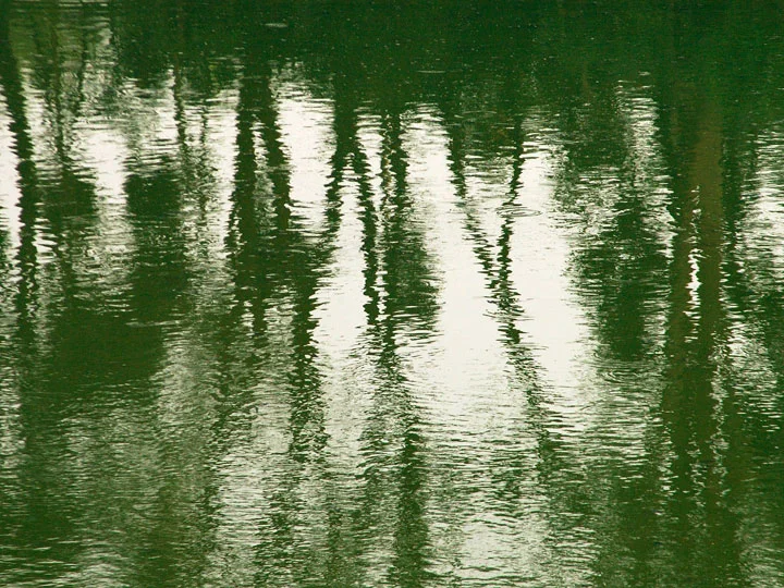 2005-01-23-0019.web.jpg