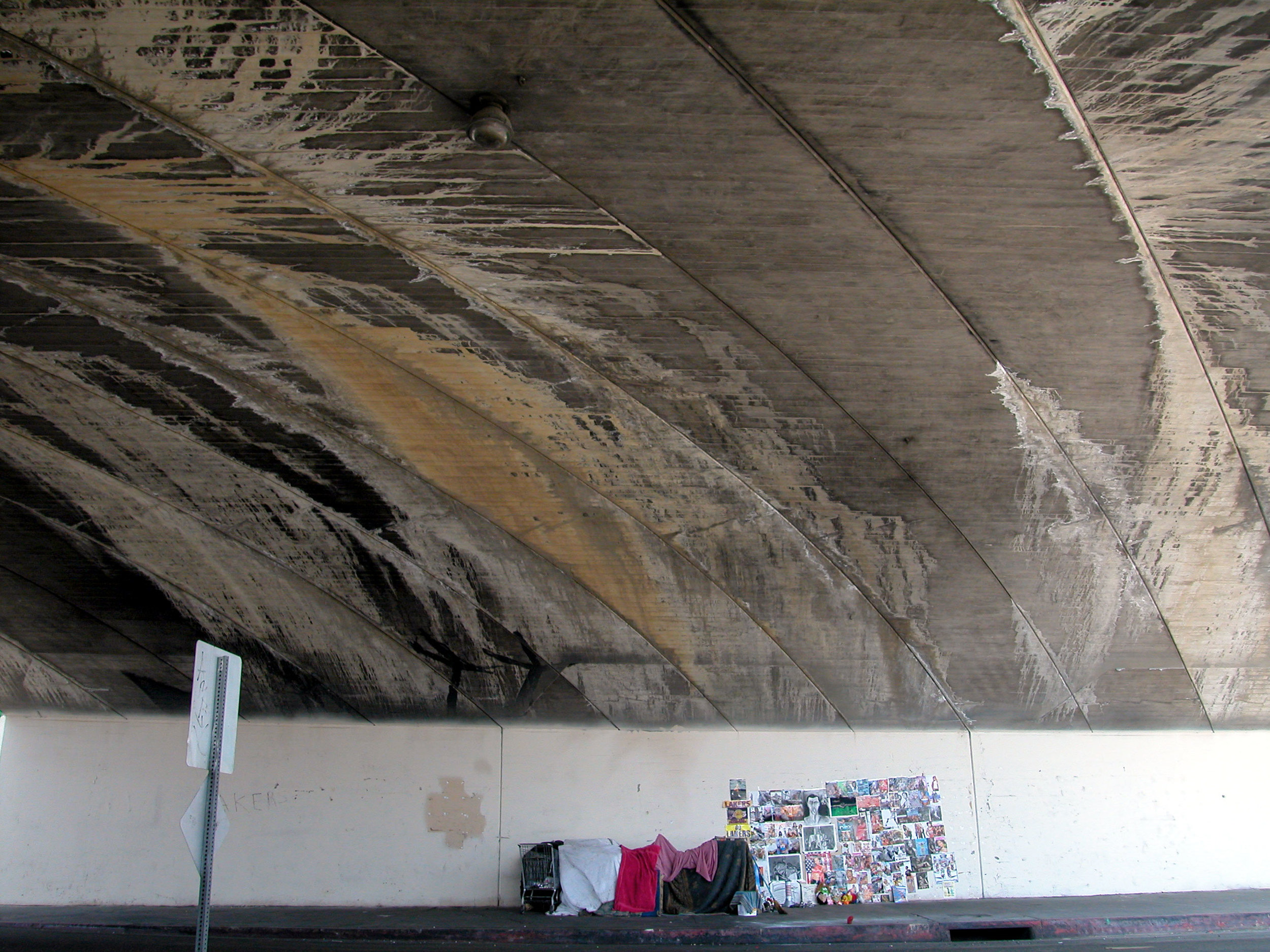 shelter.adjusted.web.jpg
