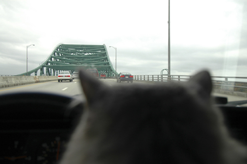 bridge.jpg