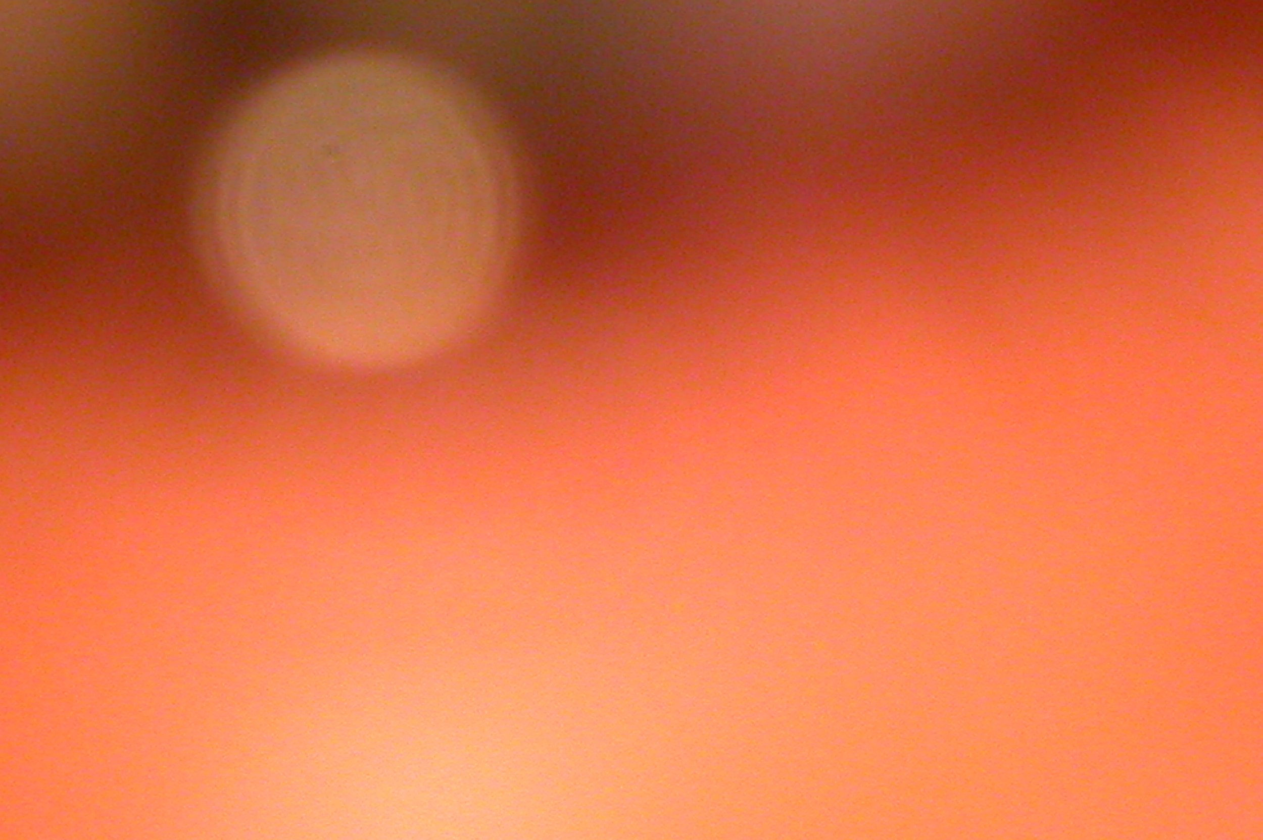 eyelightz.jpg