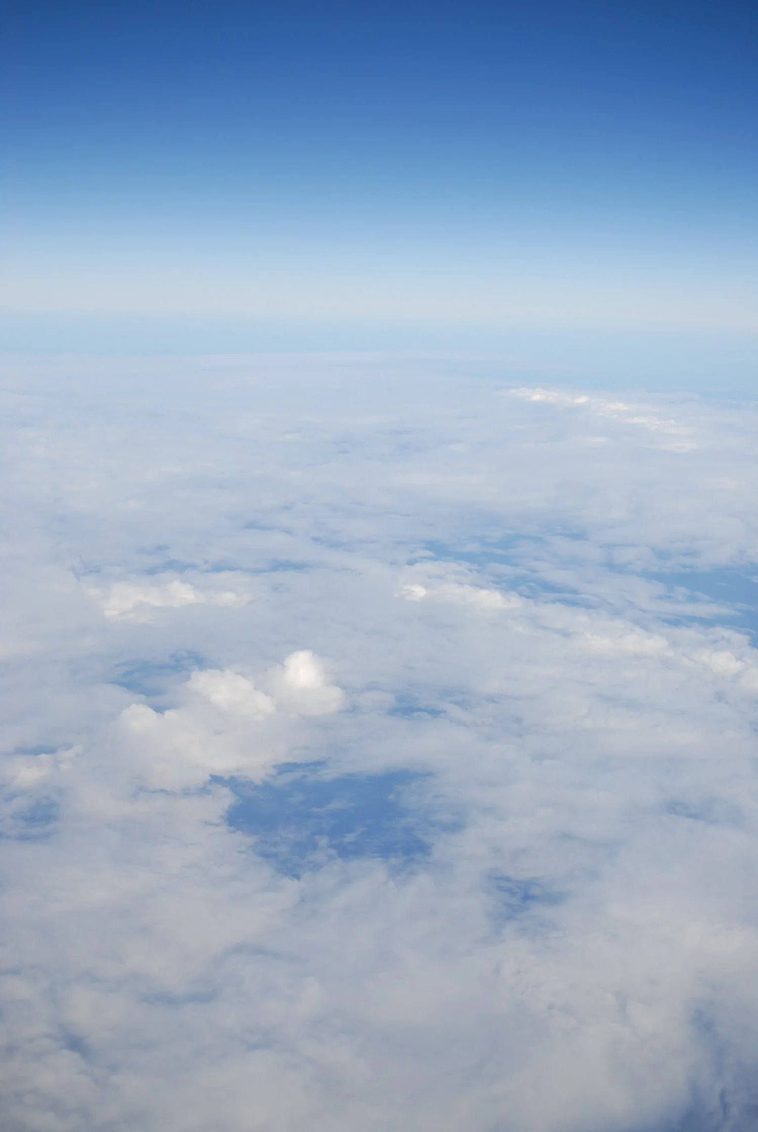 2008-01-14-0072 2.JPG