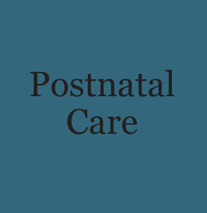 postnatal.jpg