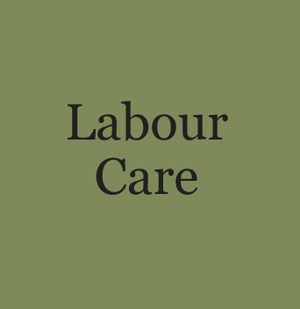 labourcare (1).jpg