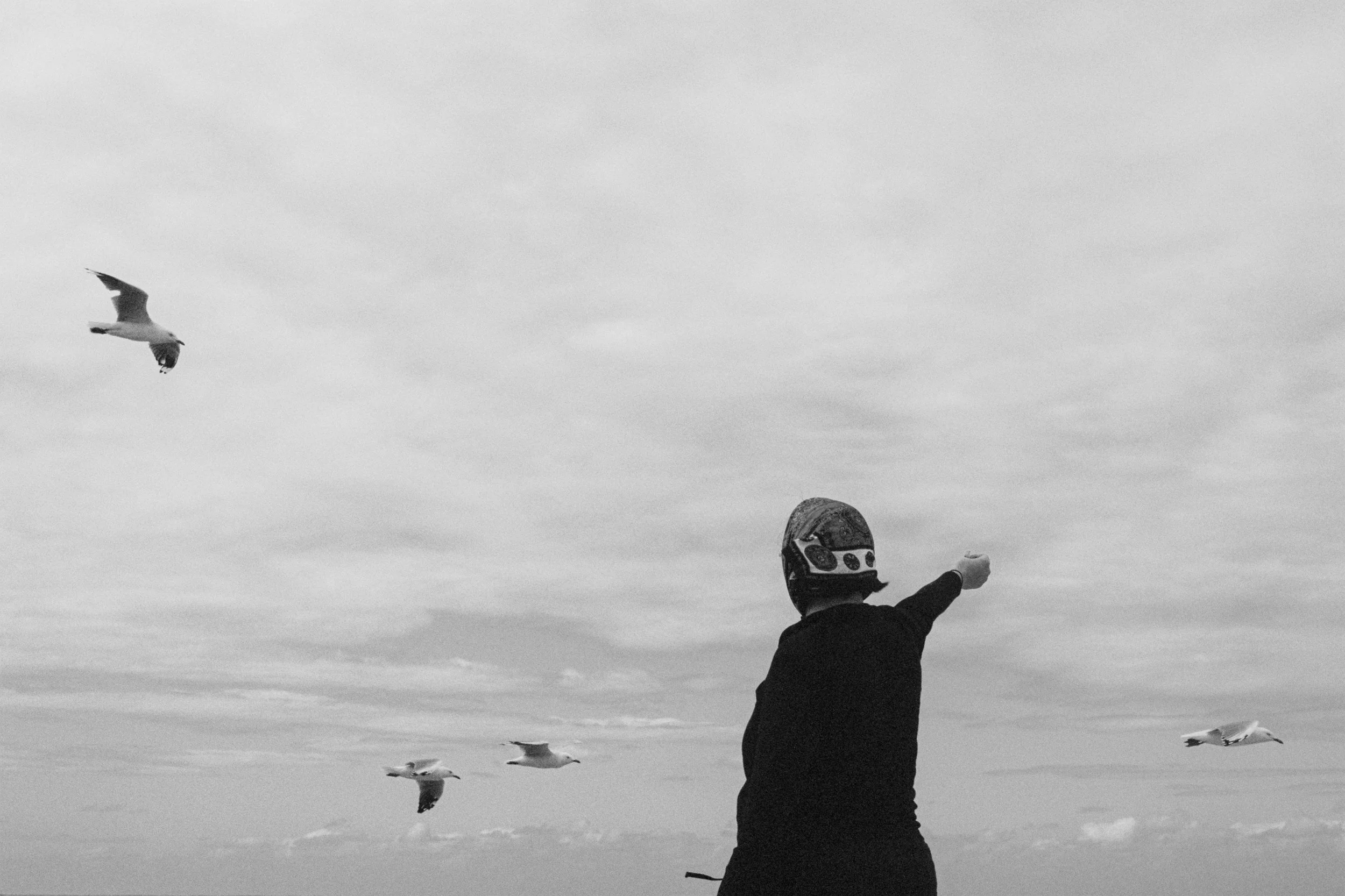 Lee, Shellharbour 2022