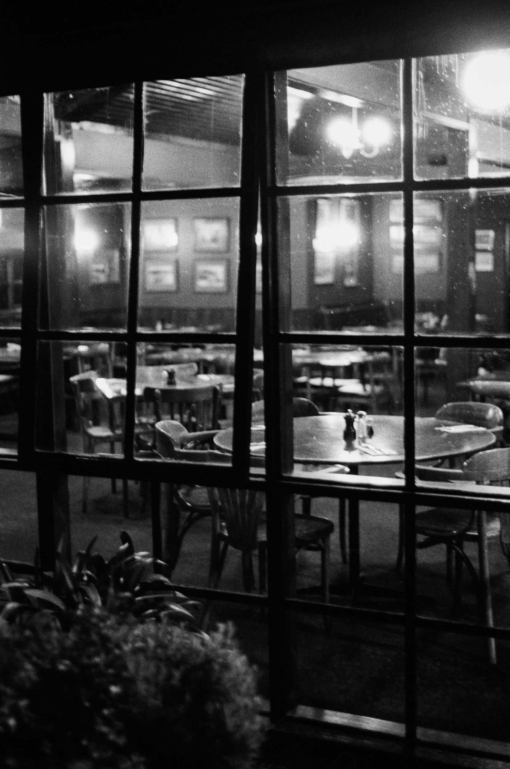 Mornington Peninsula 2022