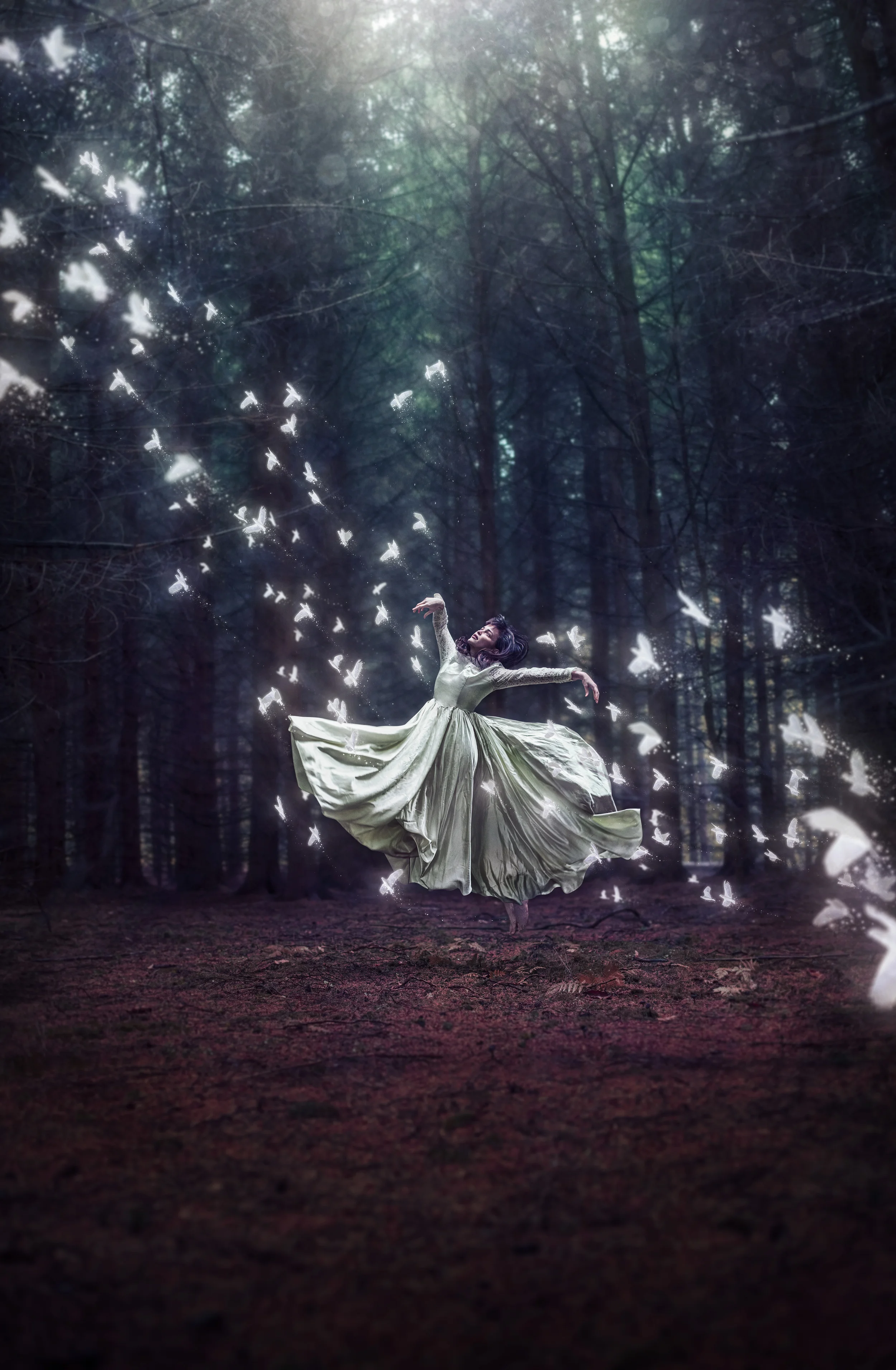 "Fluttering Luminance"