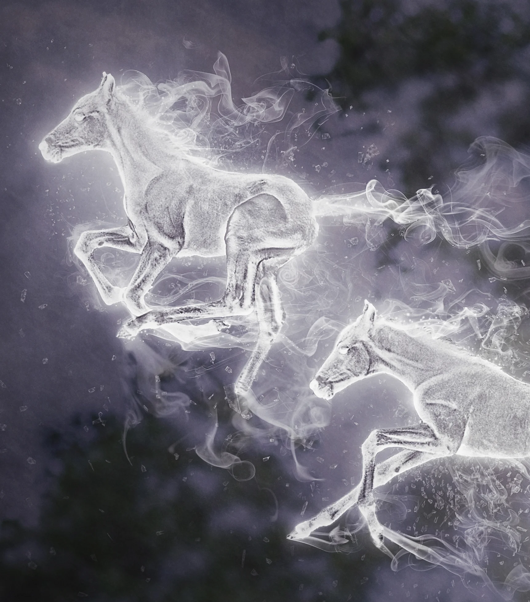 BellaHORSES.jpg