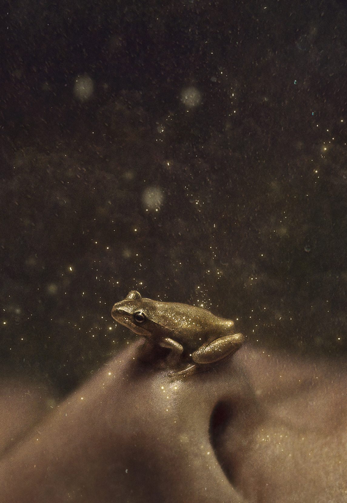 I decided to make the frog look golden because in the fairytale the princess and frog meet because she drops her gold ball into his pond.