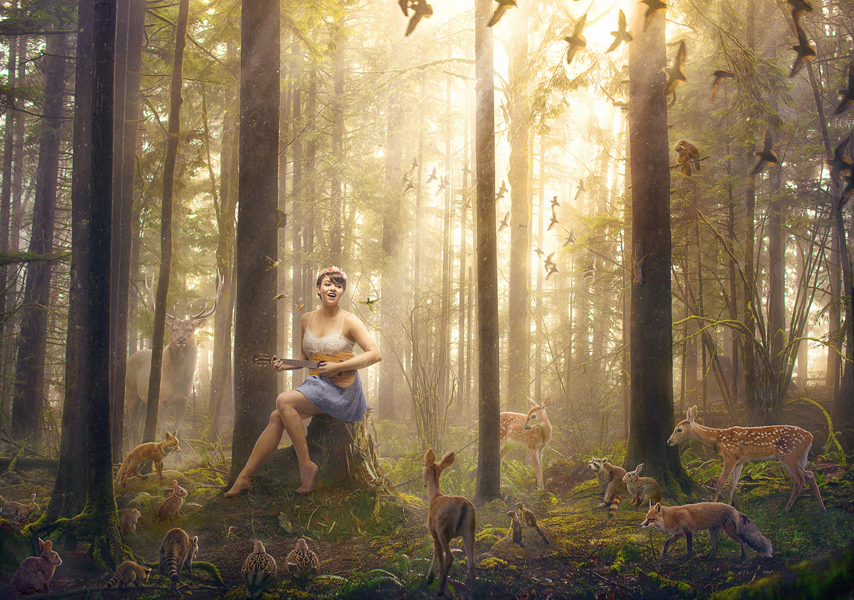 "The Storyteller"