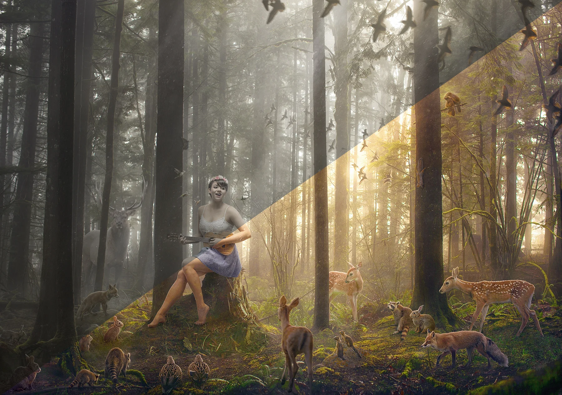 The left is before I color corrected. I didn't realize just how desaturated it was until I started saturating it.