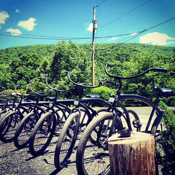 freebikes.jpg