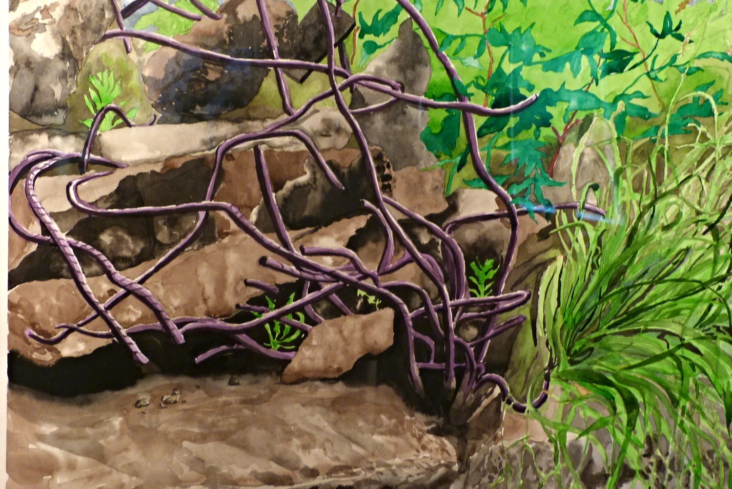  Detail: Bio Mimicry 